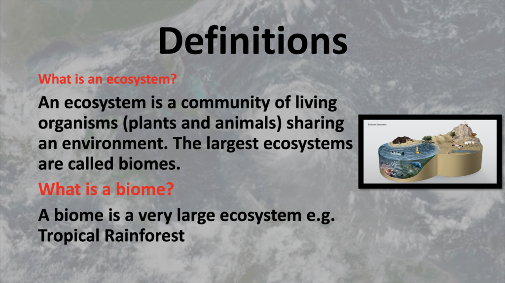 Water Climate and Ecosystem